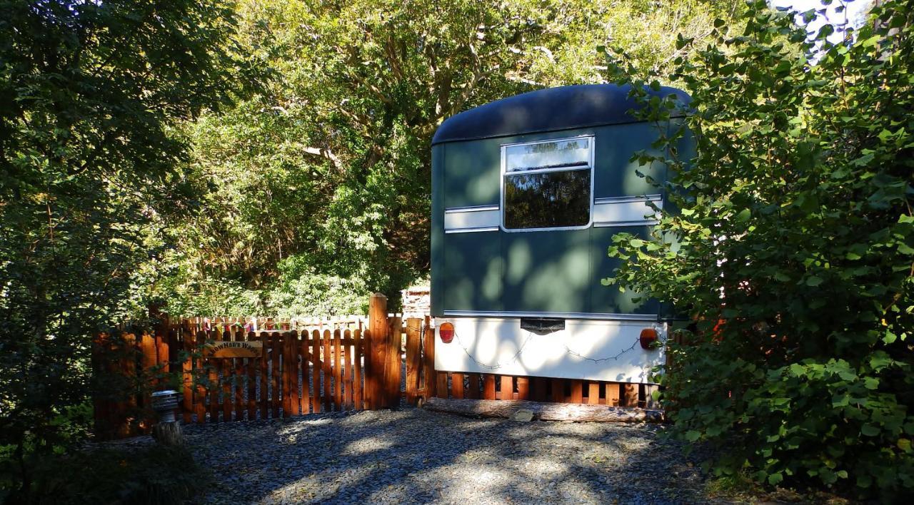 Showman'S Wagon At Coed Cae Dolgellau Luaran gambar